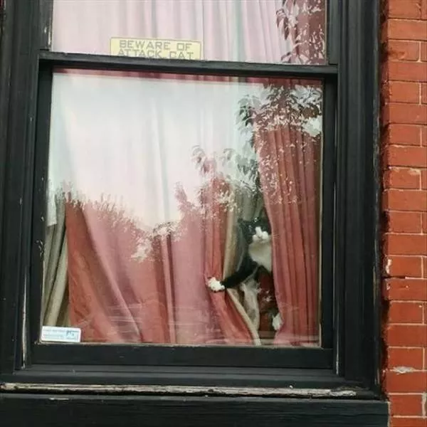 Picdump 343 - #55 