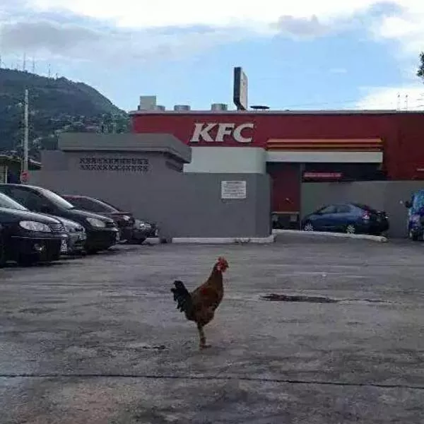 Picdump 343 - #57 