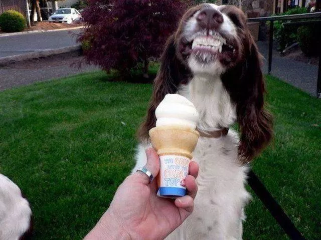 Picdump 343 - #62 