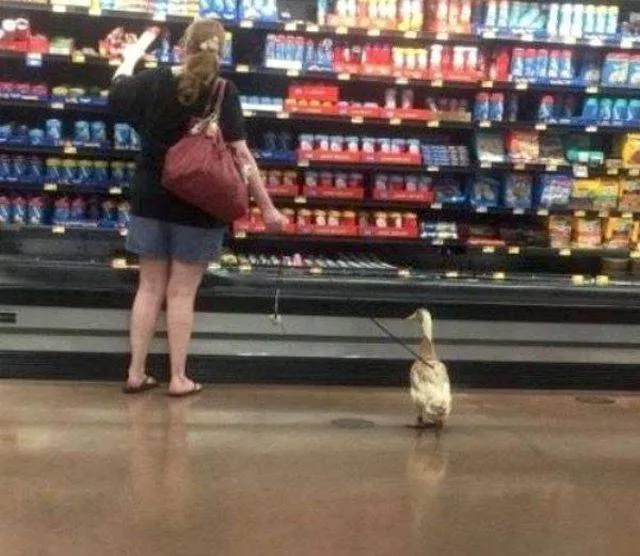 Picdump 343 - #96 
