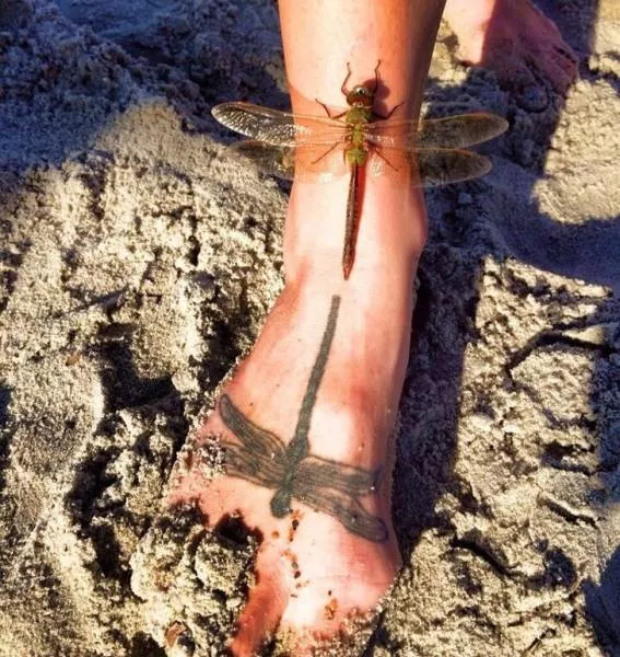 Pictures that make you look twice - #12 Pictures that make you look twice - #12