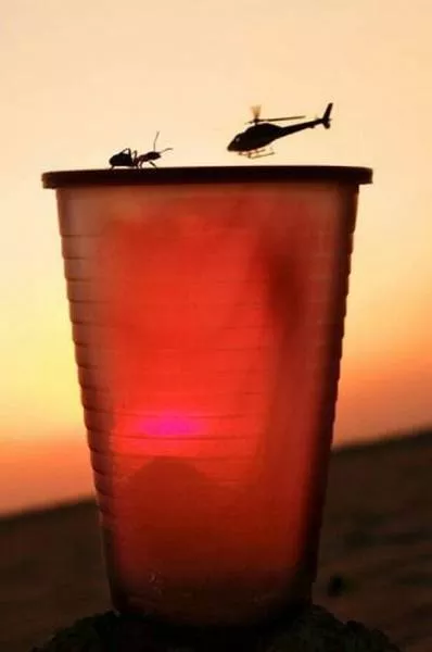 Photos qui surprennent a la deuxieme vue - #21 