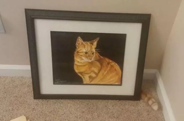 Photos qui surprennent a la deuxieme vue - #24 