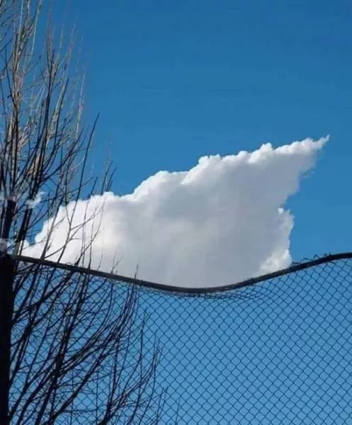 Photos qui surprennent a la deuxieme vue - #33 