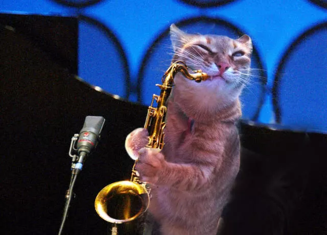Batailles de photoshop - #11 