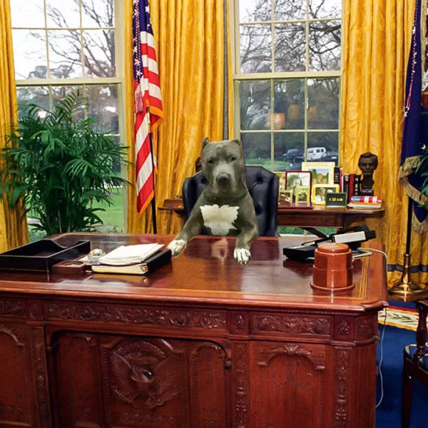 Photoshop battles - #13 