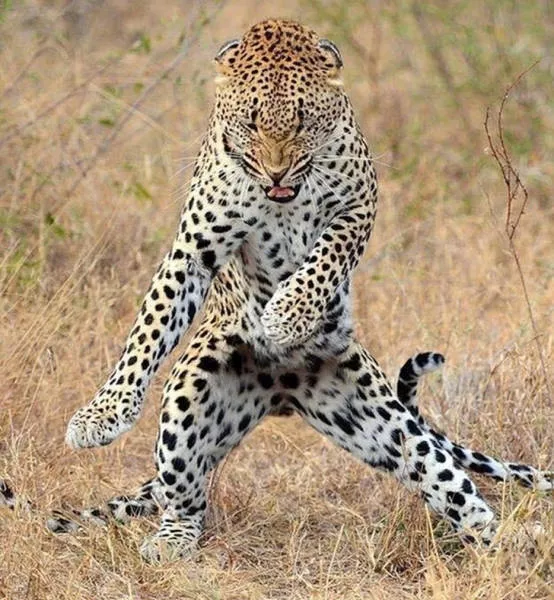 Photoshop battles - #14 