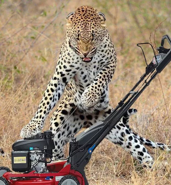 Batailles de photoshop - #16 