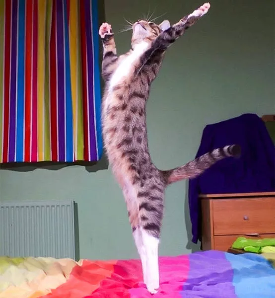 Photoshop battles - #17 