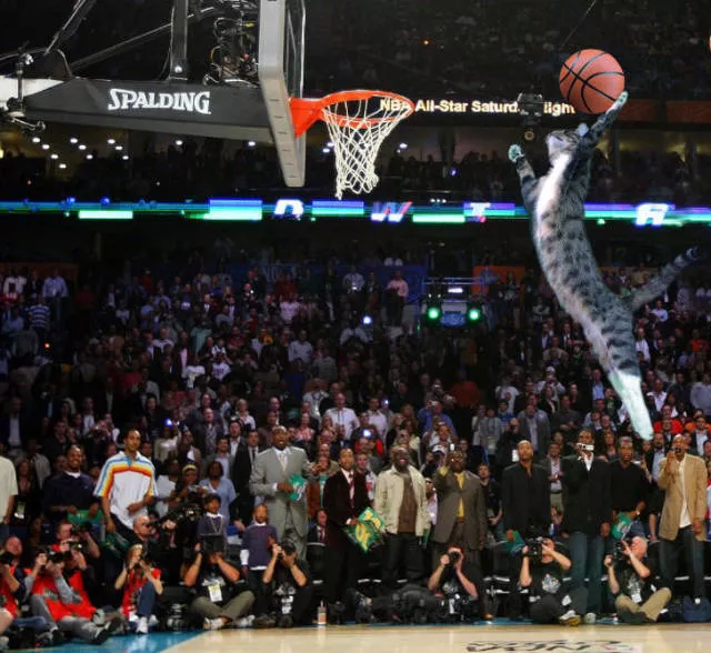 Batailles de photoshop - #18 