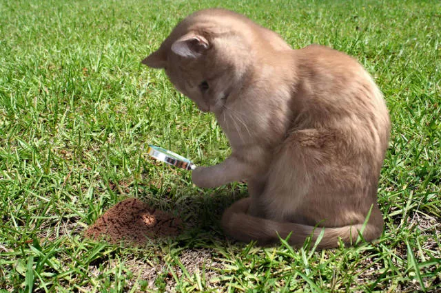 Photoshop battles - #24 