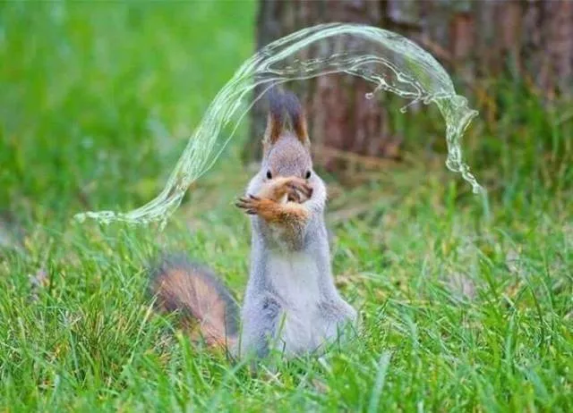 Photoshop battles - #29 