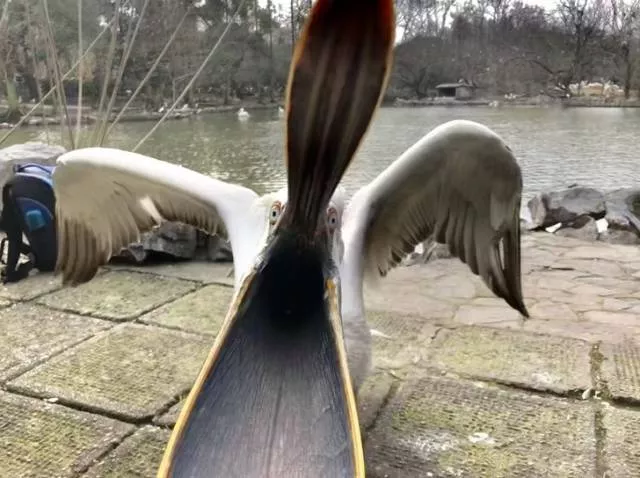 Photoshop battles - #33 