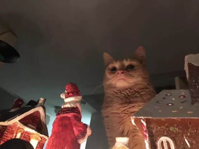 Photoshop battles - #4 