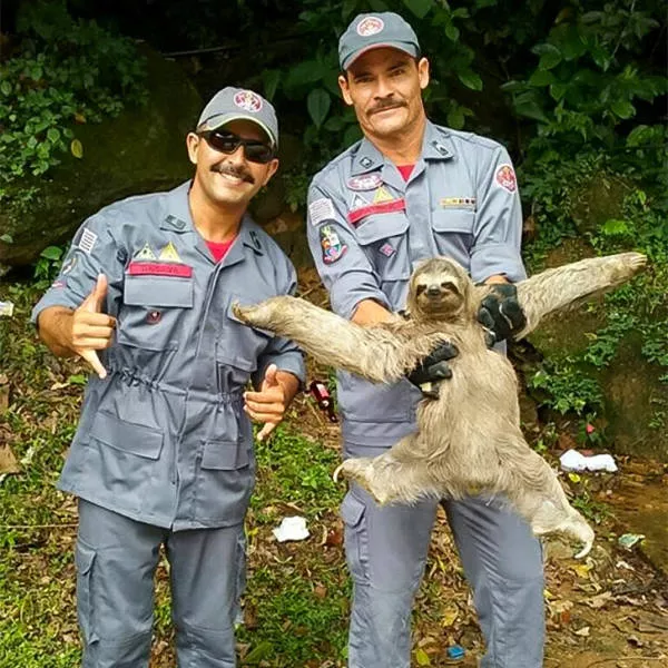Photoshop battles - #6 