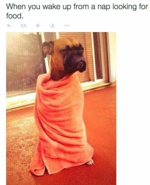 Picdump 344 - #20 