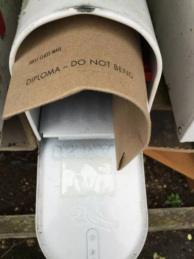 Picdump 344 - #3 