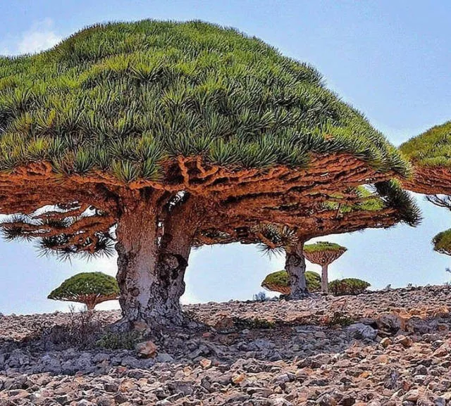 Les images les plus belles du monde - #10 