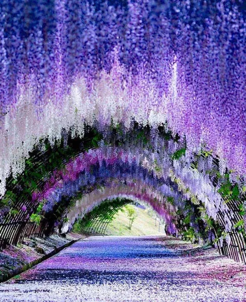 Les images les plus belles du monde - #13 