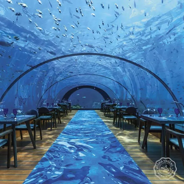 Les images les plus belles du monde - #19 