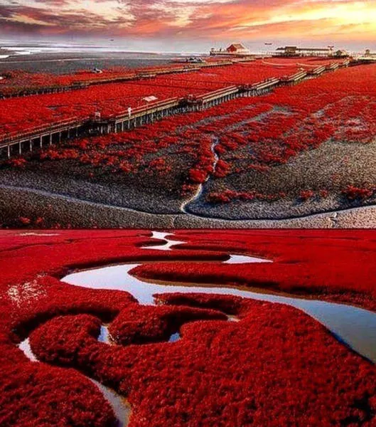 Les images les plus belles du monde - #20 