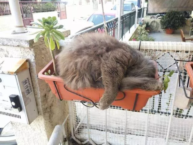 Picdump 65 - #60 