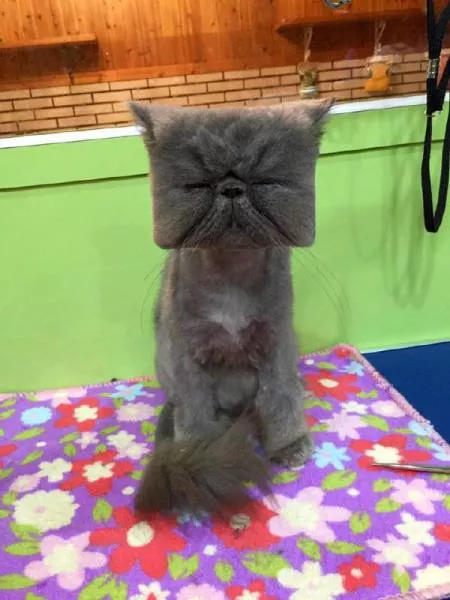 Picdump 65 - #9 