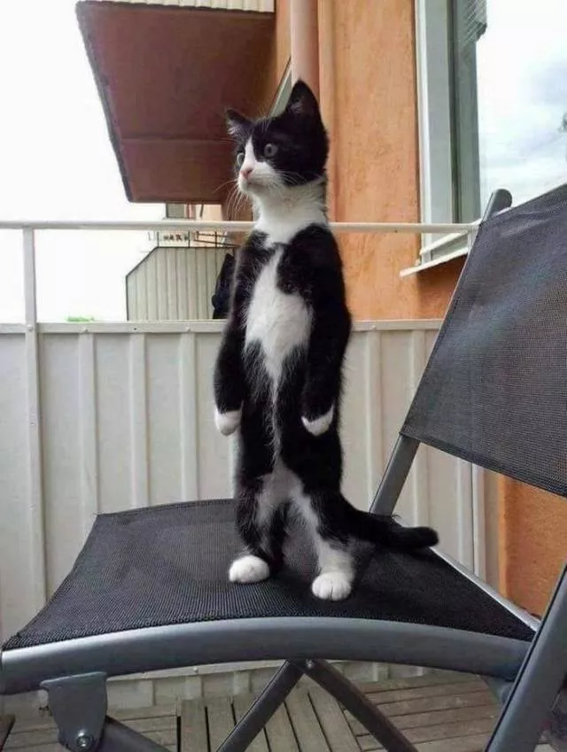 Picdump 345 - #12 