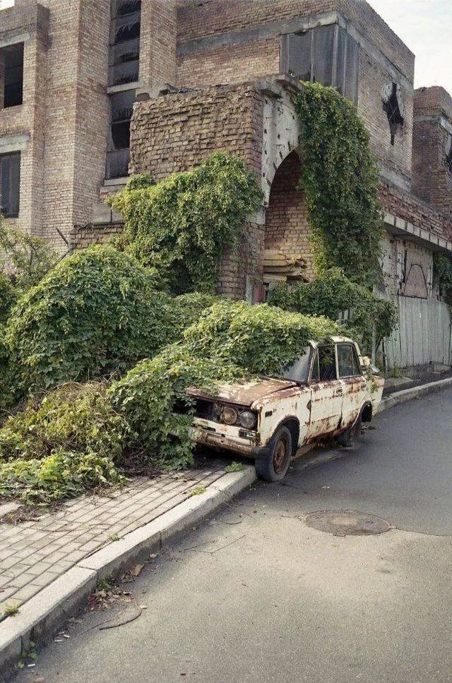 Picdump 345 - #30 