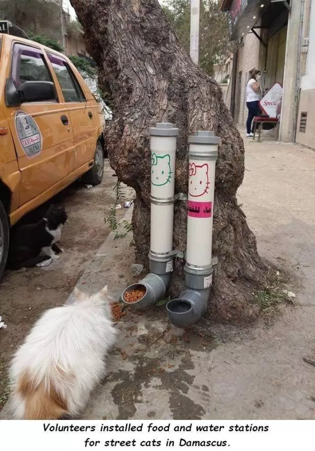 Picdump 345 - #31 