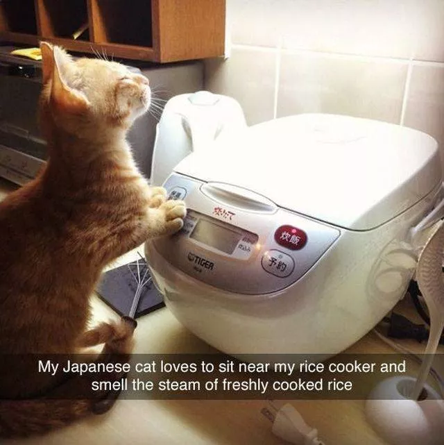 Picdump 345 - #42 