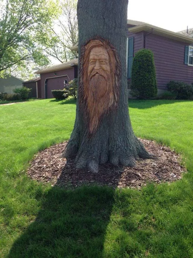 Picdump 345 - #49 