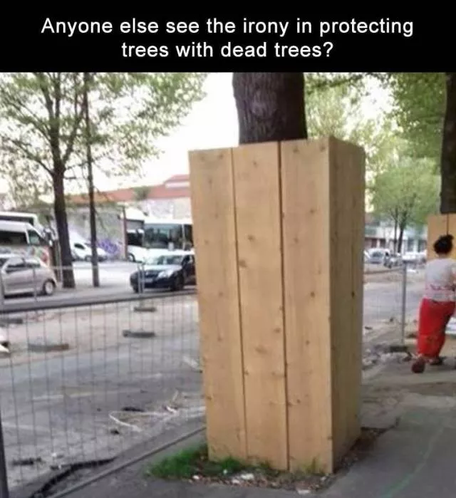 Picdump 346 - #25 