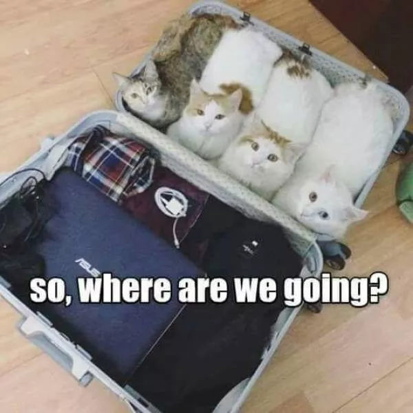 Picdump 346 - #33 