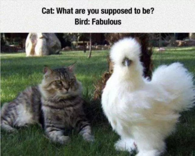 Picdump 346 - #37 