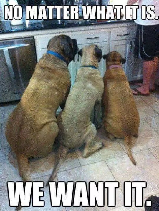 Picdump 346 - #7 