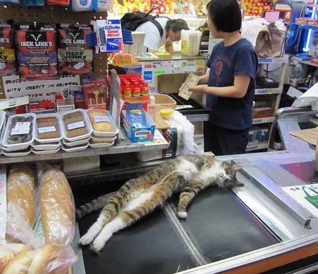 Picdump 347 - #11 