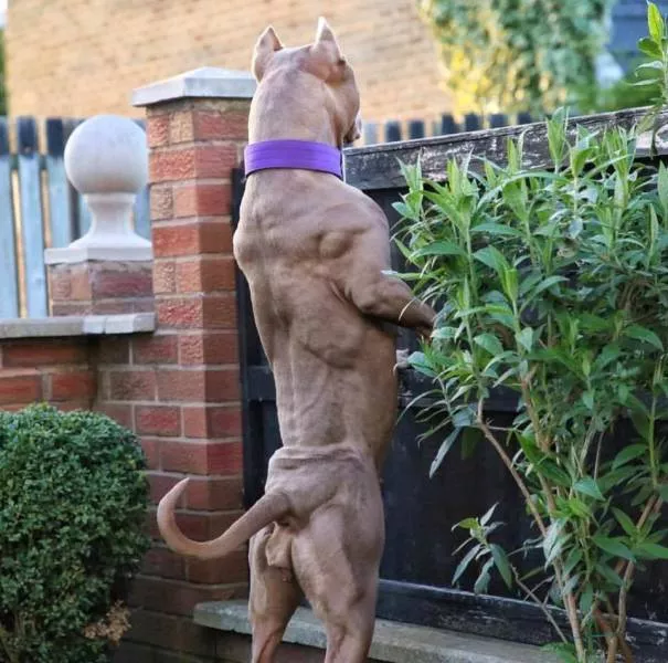 Picdump 347