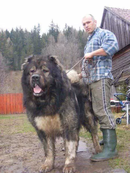 Picdump 347 - #7 