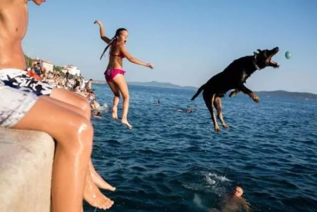 Picdump 348 - #47 