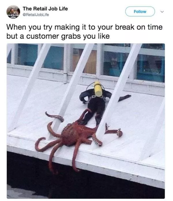 Les meilleurs de travail meme - #16 