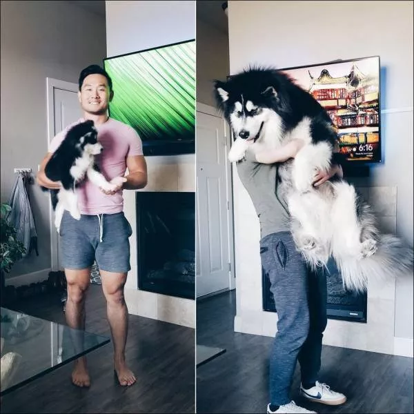Just to impress you - #29 