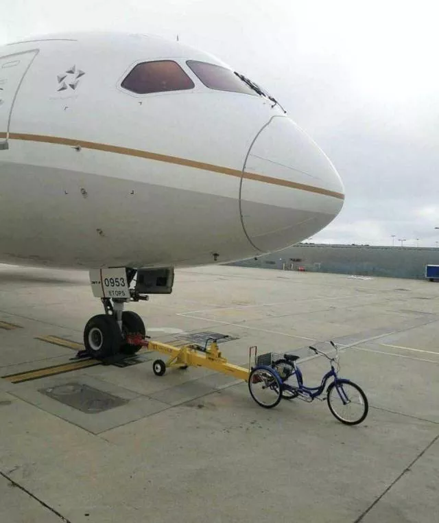 Picdump 349 - #13 Picdump 349 - #13
