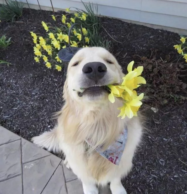 Picdump 349 - #22 