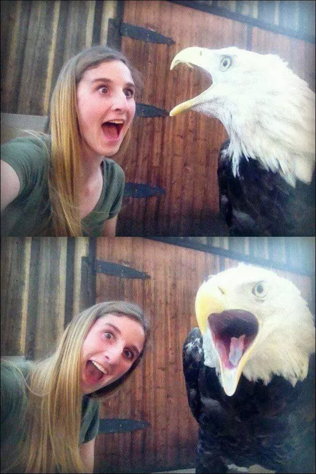 Picdump 349 - #45  Picdump 349 - #45