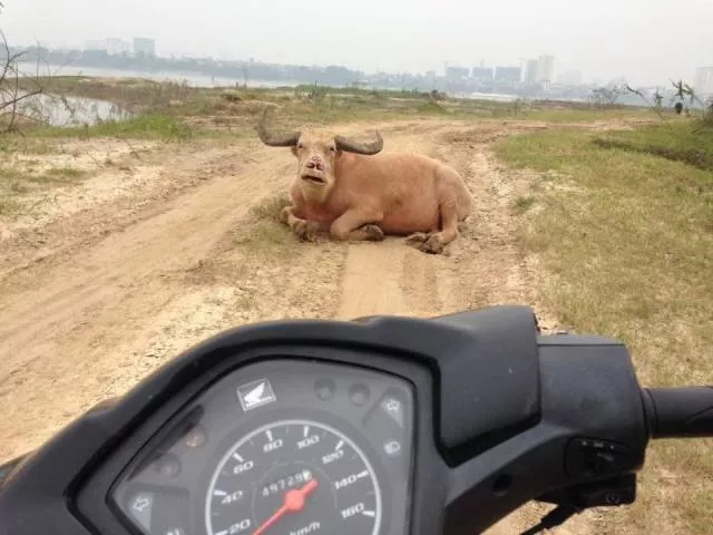 Picdump 349 - #46  Picdump 349 - #46