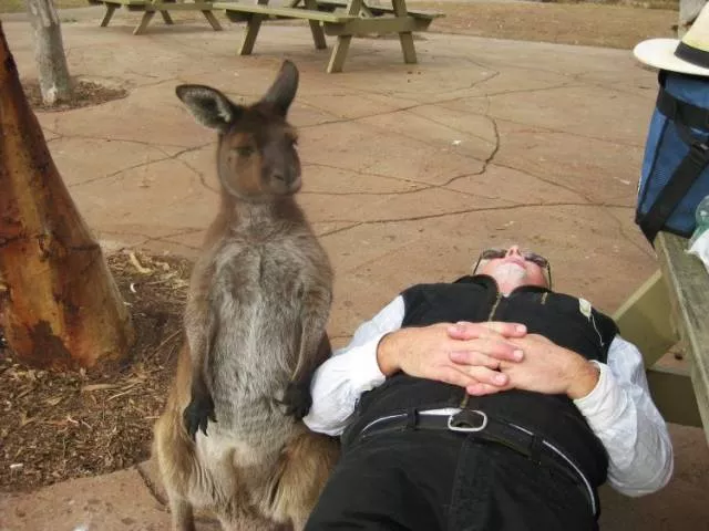 Picdump 349 - #51  Picdump 349 - #51