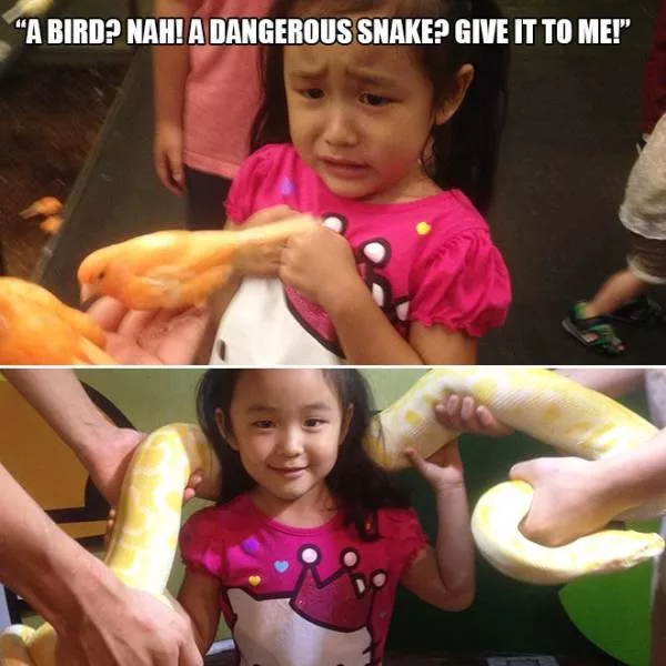 Picdump 349 - #59  Picdump 349 - #59