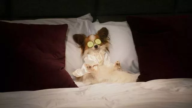 Picdump 349 - #60  Picdump 349 - #60