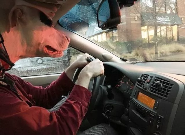 Surprising images are taken at the right time - #11 